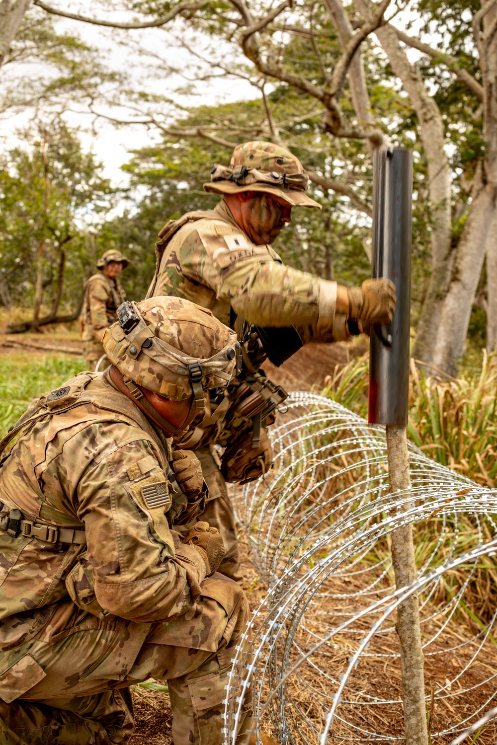 25th Infantry Division Infantry Soldiers establish defenses during JPMRC 24-01