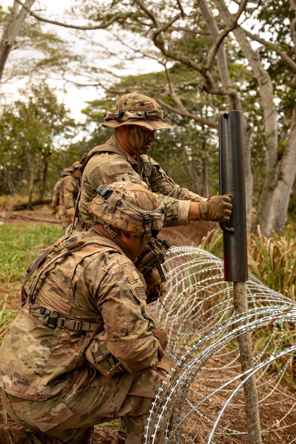 25th Infantry Division Infantry Soldiers establish defenses during JPMRC 24-01