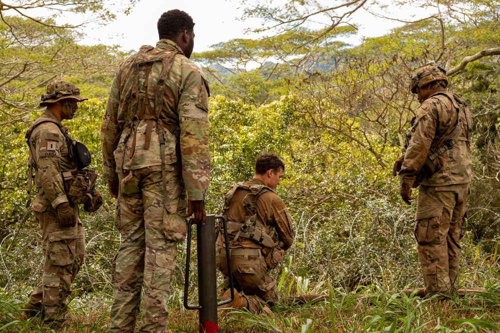 25th Infantry Division Infantry Soldiers establish defenses during JPMRC 24-01