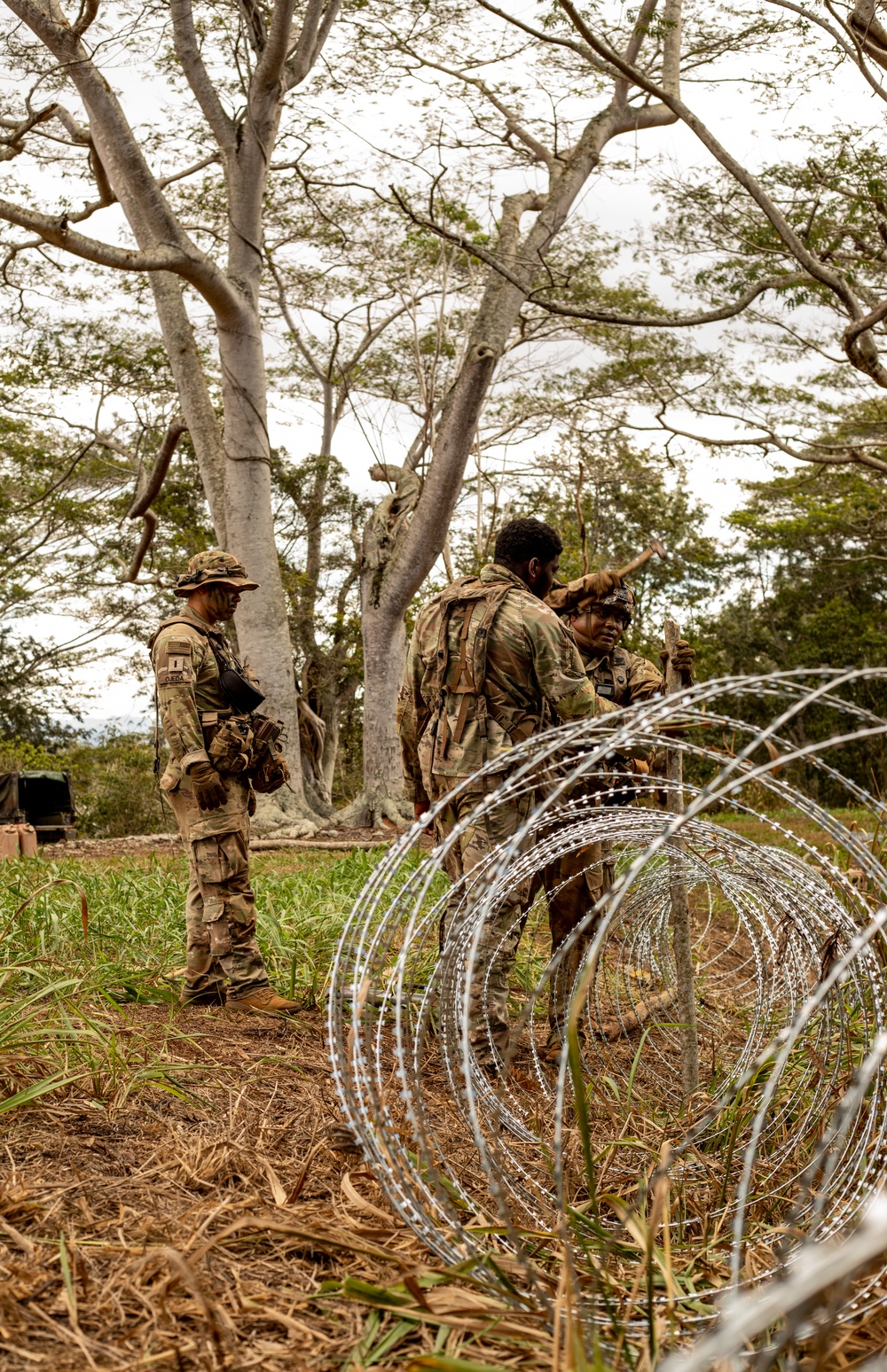 25th Infantry Division Infantry Soldiers establish defenses during JPMRC 24-01