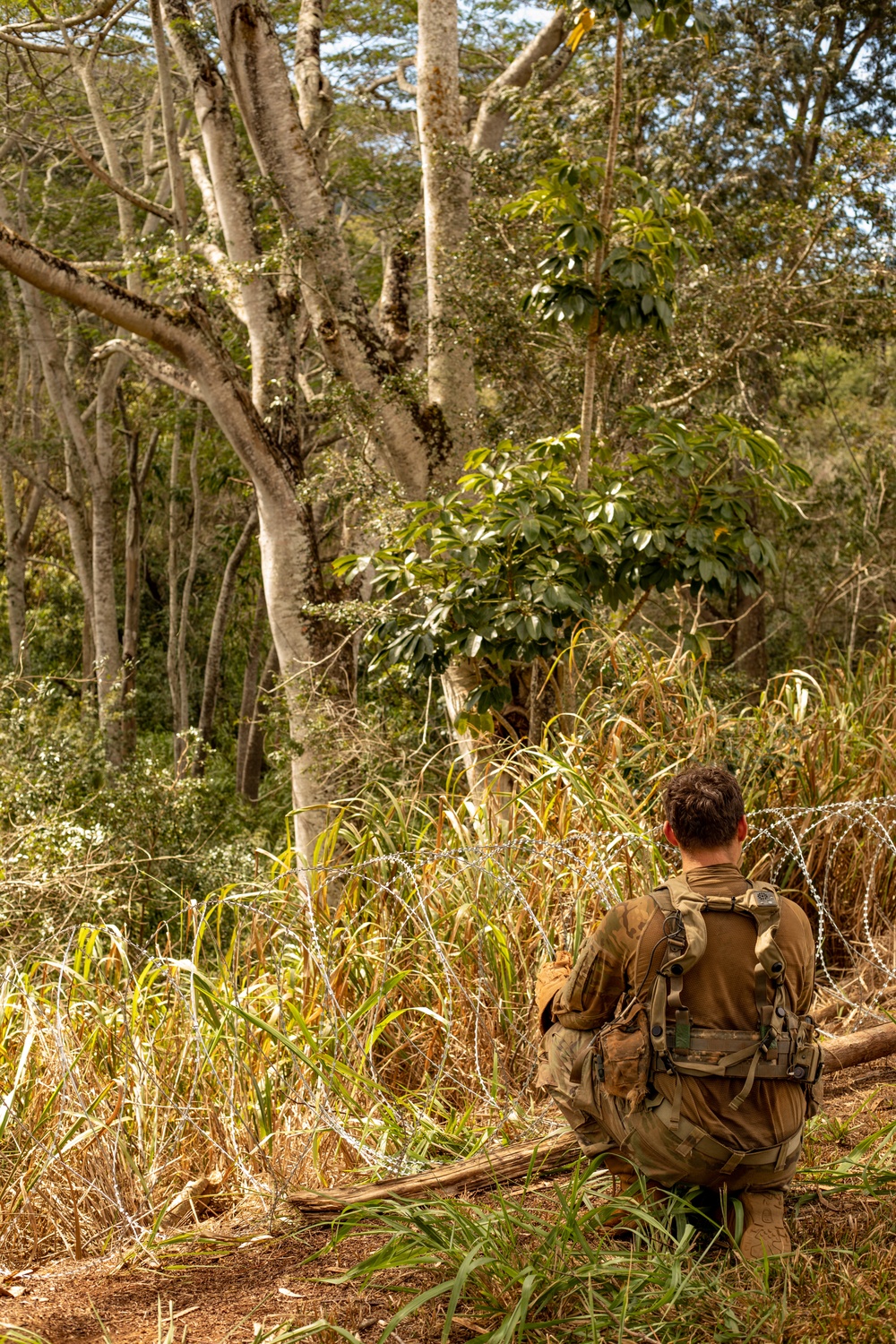 25th Infantry Division Infantry Soldiers establish defenses during JPMRC 24-01