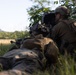 Counter Assault Rehearsal Exercise: Mechanical and Air Assault