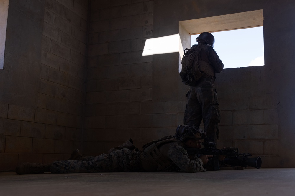 Counter Assault Rehearsal Exercise: Mechanical and Air Assault