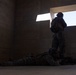 Counter Assault Rehearsal Exercise: Mechanical and Air Assault