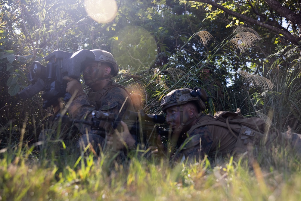 Counter Assault Rehearsal Exercise: Mechanical and Air Assault