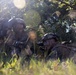 Counter Assault Rehearsal Exercise: Mechanical and Air Assault