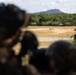 Counter Assault Rehearsal Exercise: Mechanical and Air Assault
