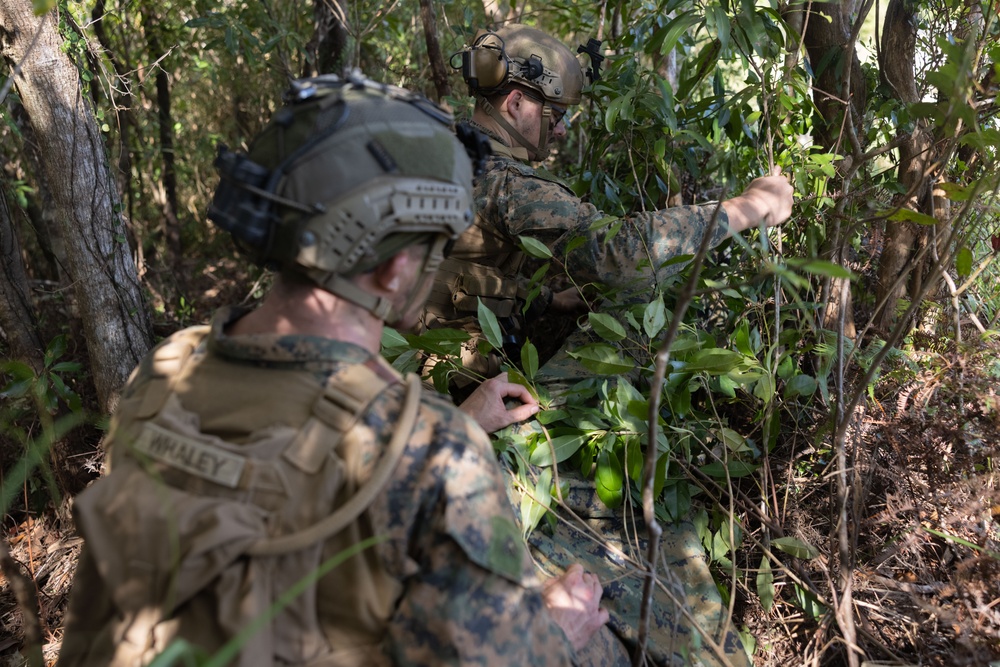 Counter Assault Rehearsal Exercise: Mechanical and Air Assault