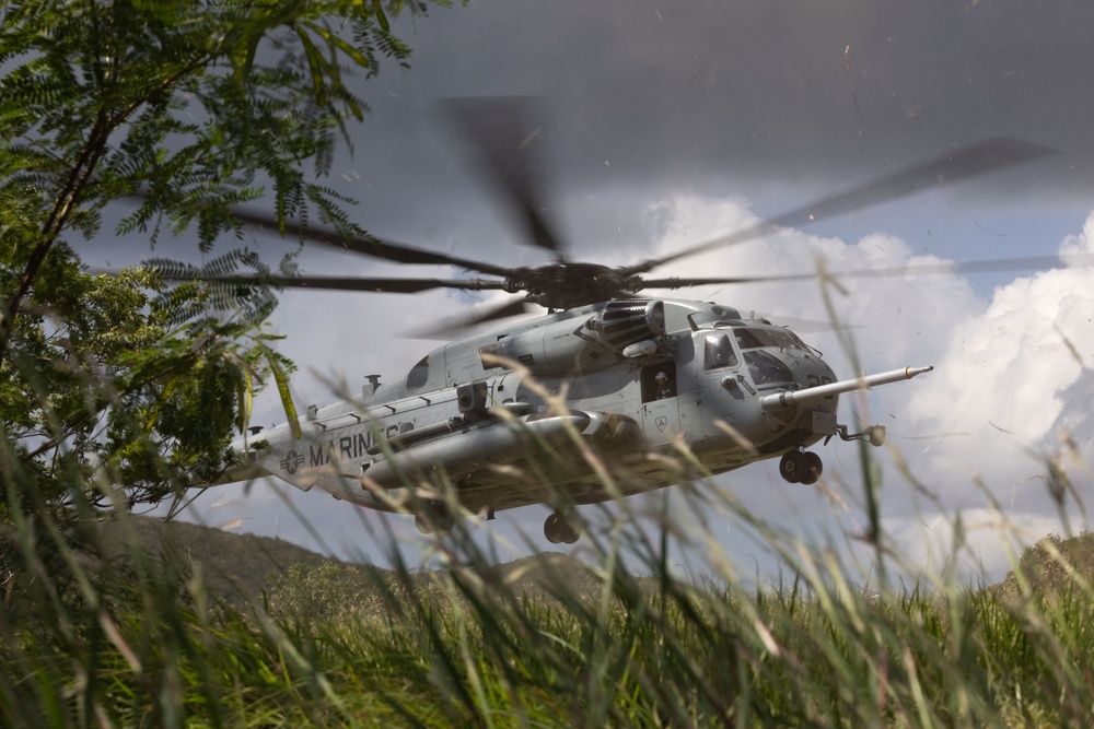 Counter Assault Rehearsal Exercise: Mechanical and Air Assault