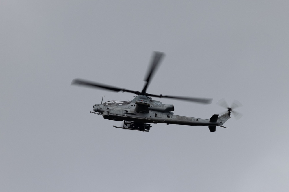 Counter Assault Rehearsal Exercise: Mechanical and Air Assault
