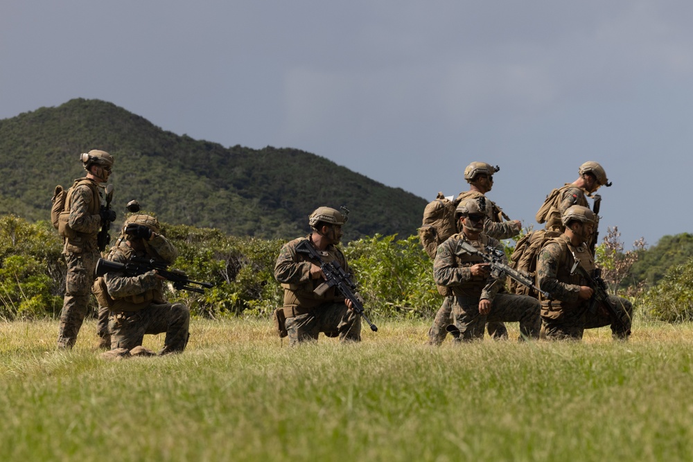 Counter Assault Rehearsal Exercise: Mechanical and Air Assault