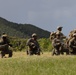 Counter Assault Rehearsal Exercise: Mechanical and Air Assault