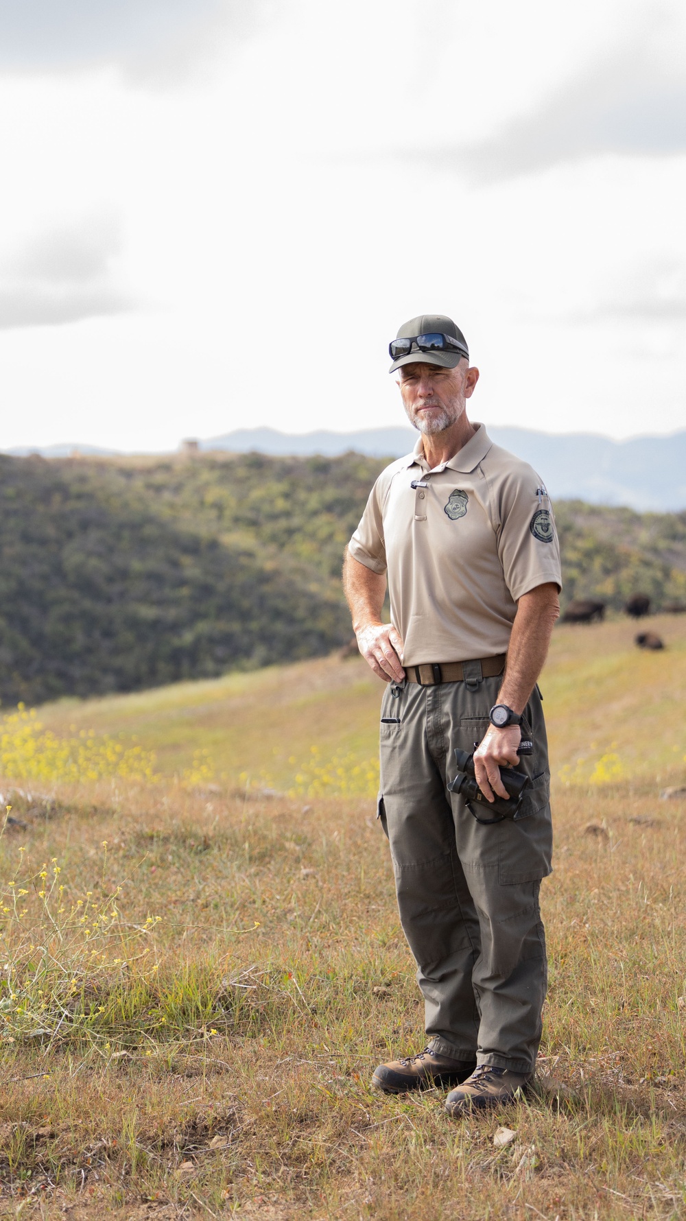 Bison roam the hills of Camp Pendleton