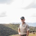 Bison roam the hills of Camp Pendleton