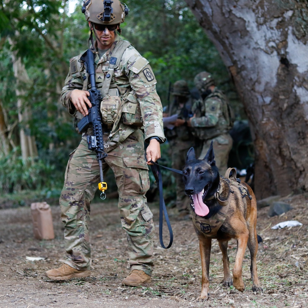 2- 27 “Wolfhounds” secure key terrain - JPMRC 24-01