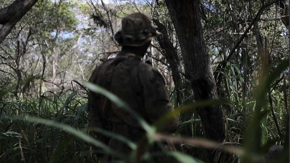 DVIDS - Images - 2- 27 “Wolfhounds” secure key terrain - JPMRC 24-01 ...