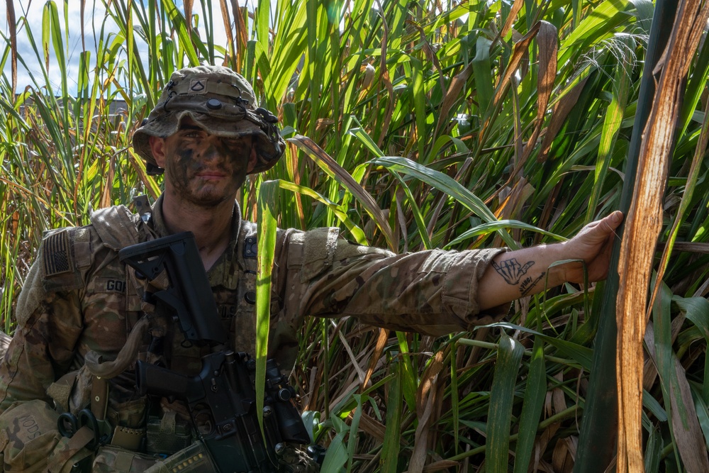 U.S. Soldiers establish a defensive perimeter during JPMRC 24-01