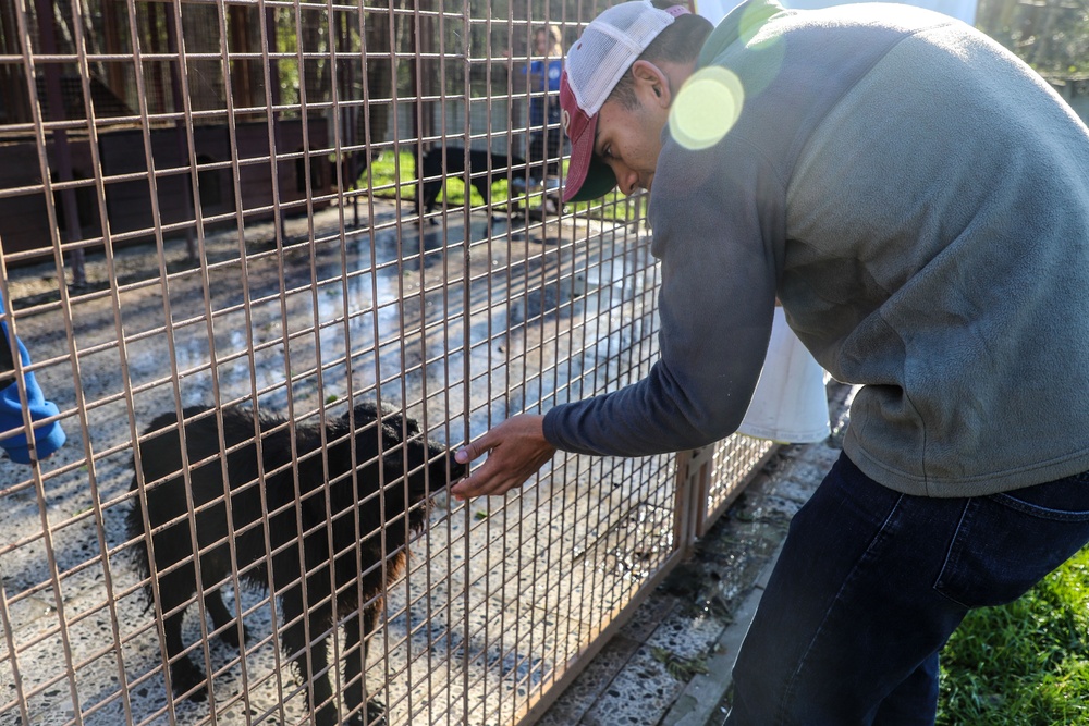 Deployed Soldiers volunteer at animal shelter in Poland