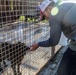 Deployed Soldiers volunteer at animal shelter in Poland