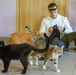 Deployed Soldiers volunteer at animal shelter in Poland