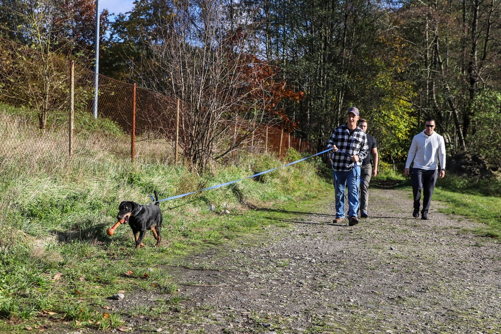 Deployed Soldiers volunteer at animal shelter in Poland