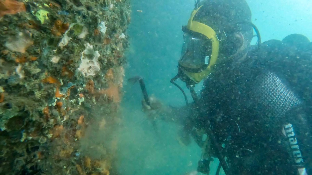 Pacific Partnership 2023: Divers Train Together in Fiji