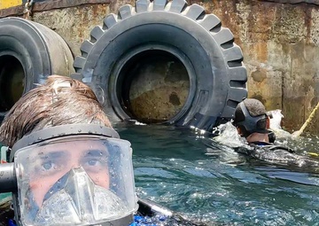 Pacific Partnership 2023: Divers Train Together in Fiji