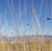 25th ID, 11th Airborne Soldiers Conduct Heavy Equipment Drop Recovery Operations during JPMRC 24-01