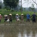 DPAA and Vietnamese locals build a cofferdam