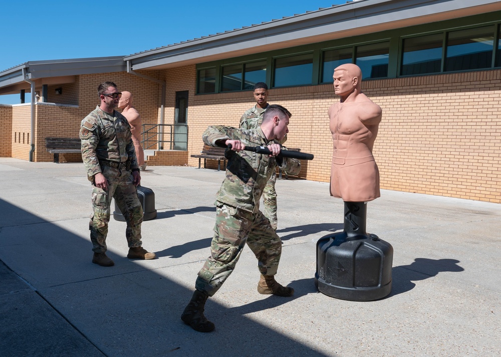 Security Forces Training