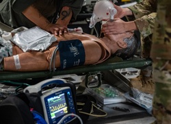 Aeromedical evacuation training [Image 8 of 8]