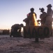 U.S. Marines with 8th Engineer Support Battalion Host an Evacuation Control Center