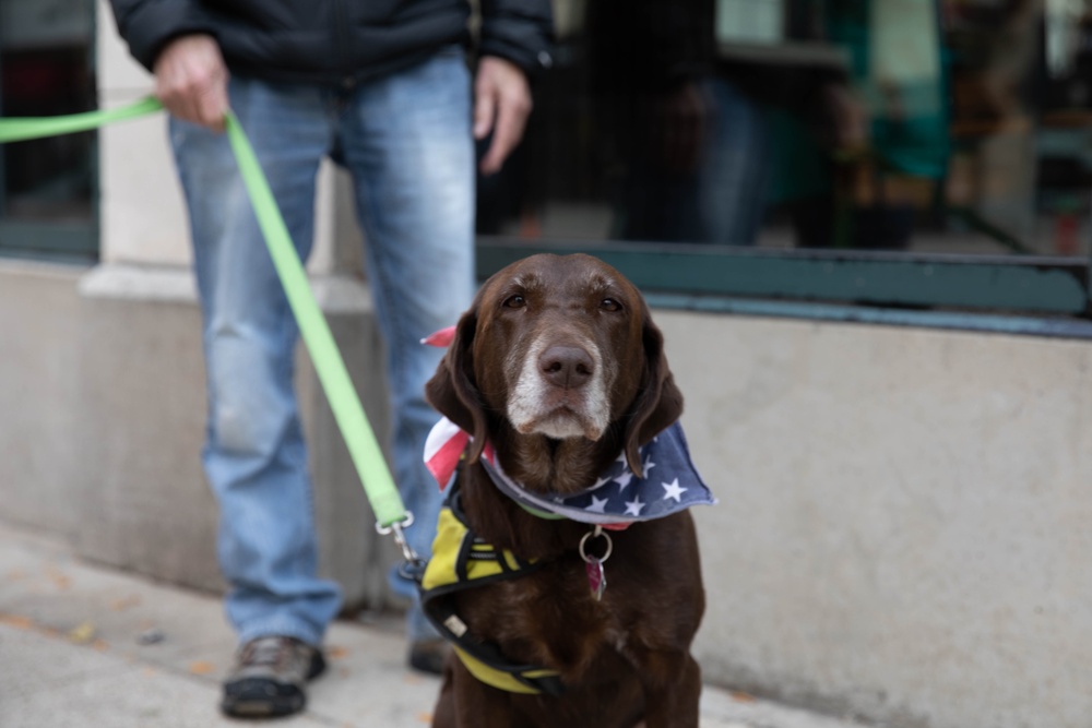 Daisy the Dog supports Veterans in Wisconsin