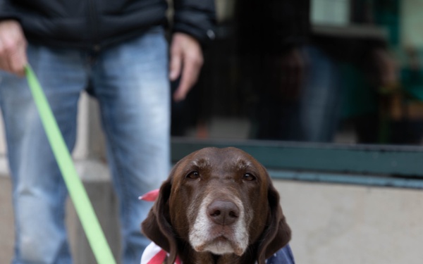 Daisy the Dog supports Veterans in Wisconsin