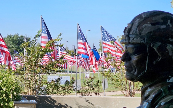 Bryan Rotary Club Honors Veterans with 1000 Flags - A Salute to Service