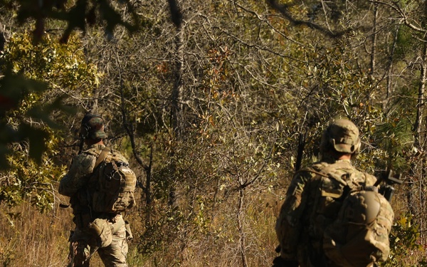 7th Special Forces Group Raid