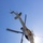 HMLAT-303 Supports California Wildlife HMLAT-303 Supports California Wildlife