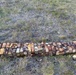 Air Force EOD dispose of 98 TNT blocks near Tok, Alaska