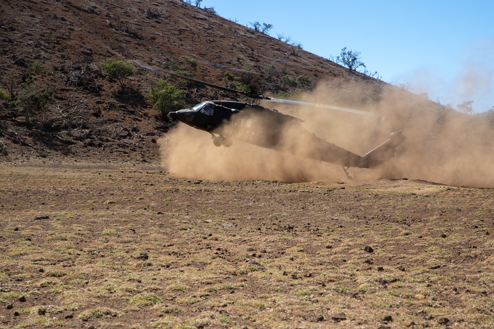 Dust Landing JPMRC 24-01