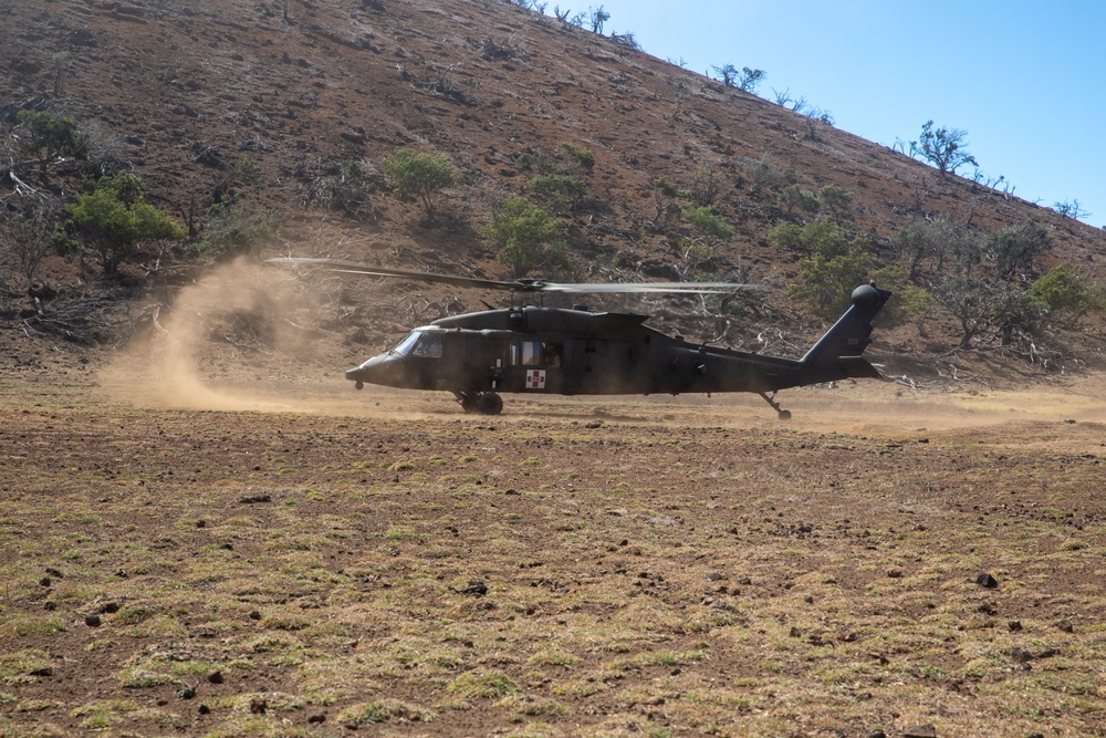 Dust Landing JPMRC 24-01