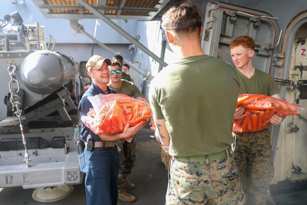 Ghost Gators aboard USS Mesa Verde Participate in Working Party