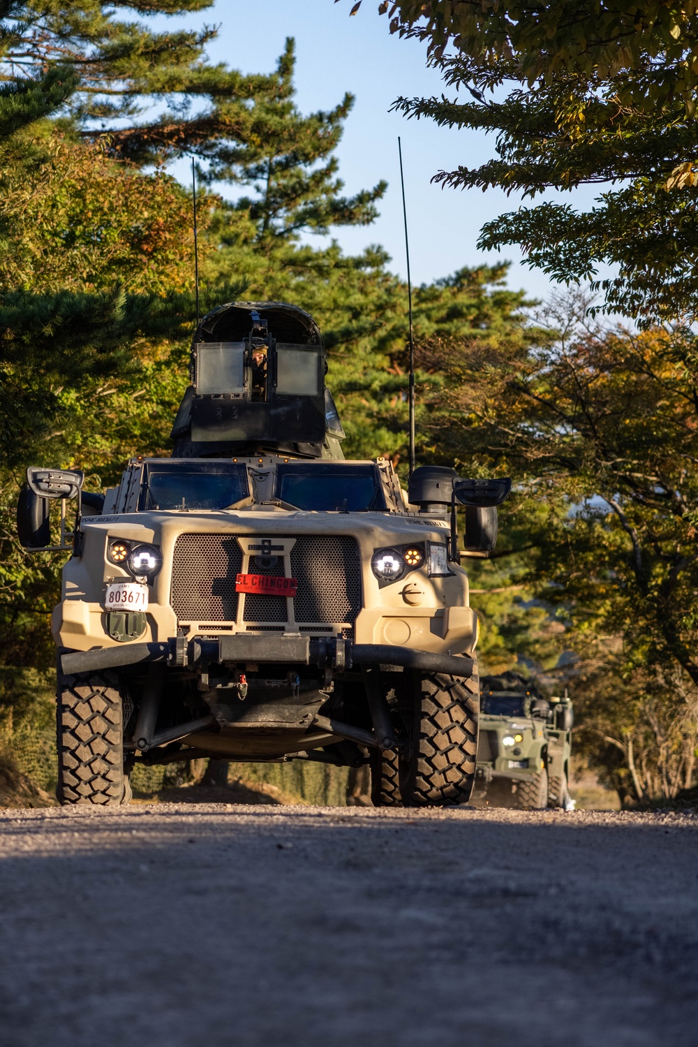 Resolute Dragon 23 FTX | 3rd MLG, JGSDF Bilateral Decontamination Training on Hijyudai