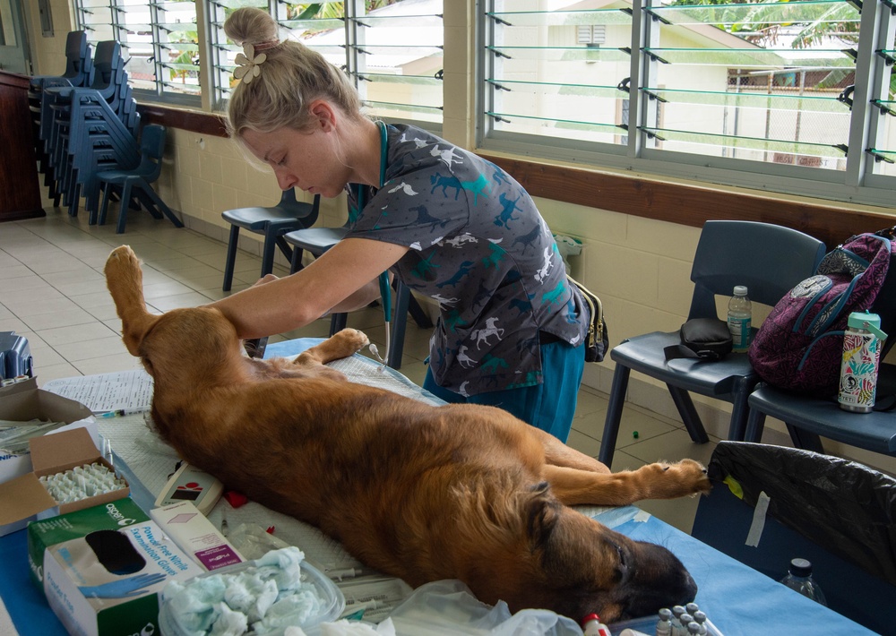 Pacific Partnership 2024-1: U.S. Army veterinarians team up with RMI Love Animals