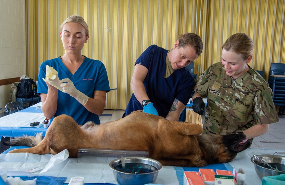 Pacific Partnership 2024-1: U.S. Army veterinarians team up with RMI Love Animals