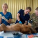 Pacific Partnership 2024-1: U.S. Army veterinarians team up with RMI Love Animals