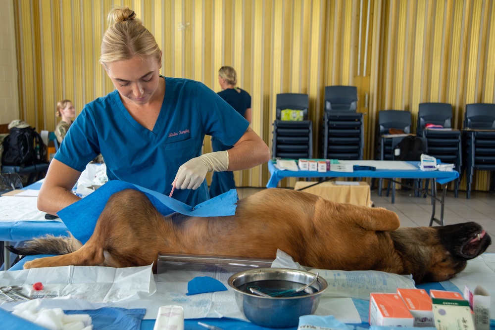 Pacific Partnership 2024-1: U.S. Army veterinarians team up with RMI Love Animals