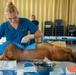 Pacific Partnership 2024-1: U.S. Army veterinarians team up with RMI Love Animals