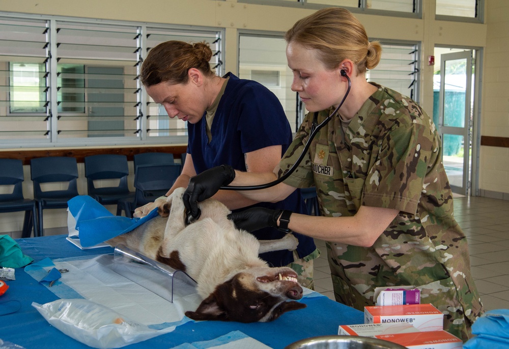 Pacific Partnership 2024-1: U.S. Army veterinarians team up with RMI Love Animals