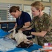 Pacific Partnership 2024-1: U.S. Army veterinarians team up with RMI Love Animals