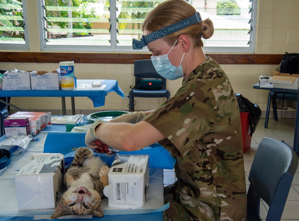 Pacific Partnership 2024-1: U.S. Army veterinarians team up with RMI Love Animals